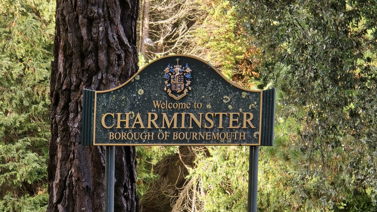 Upper Charminster's tree-lined street